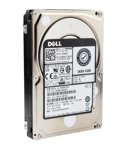 dell 300G sas 12 G 10K